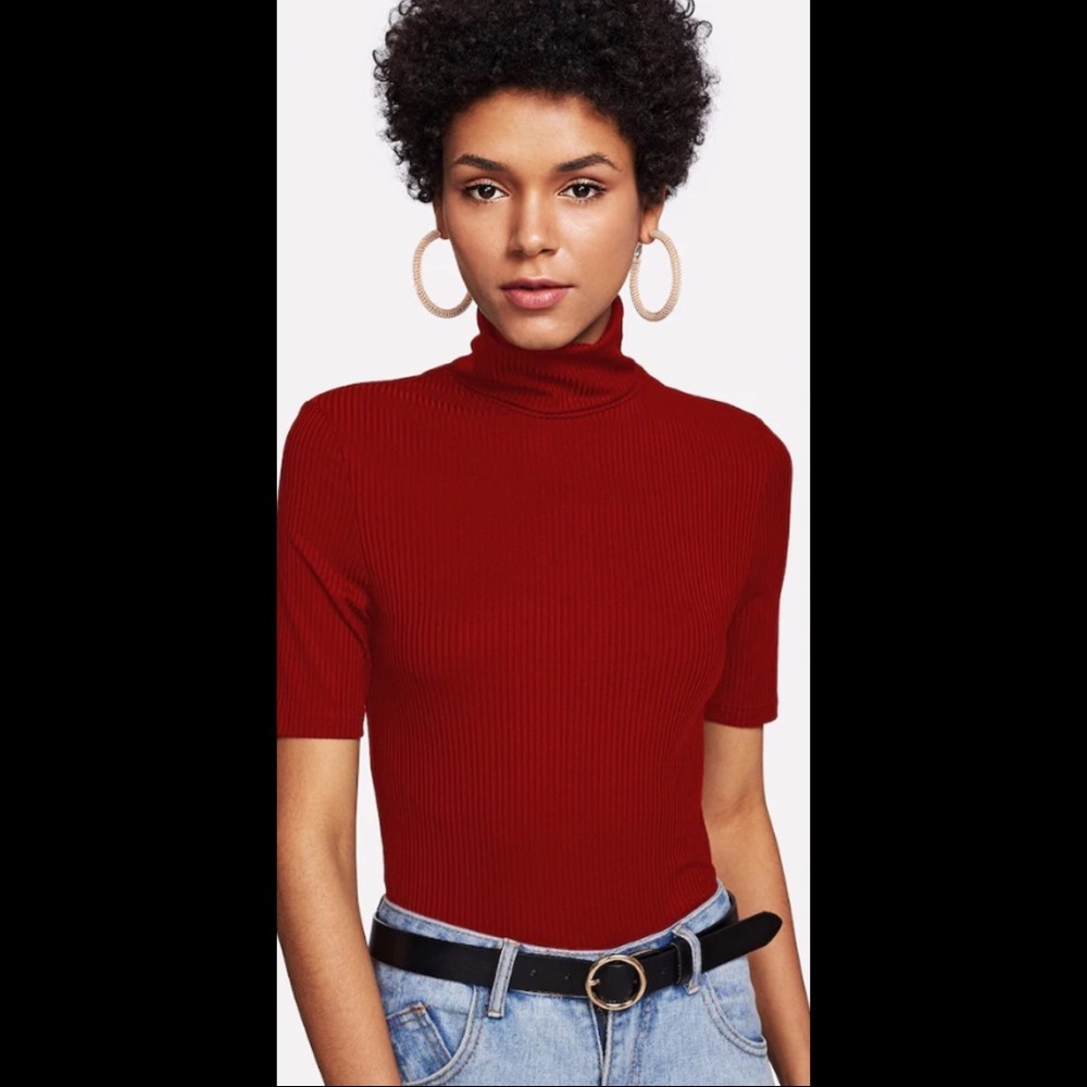 Shirtsleeve Turtleneck Top